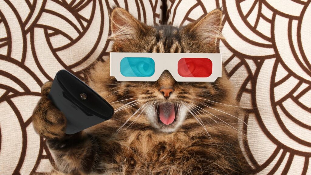 Chat avec lunettes trois dimensions et une télécommande