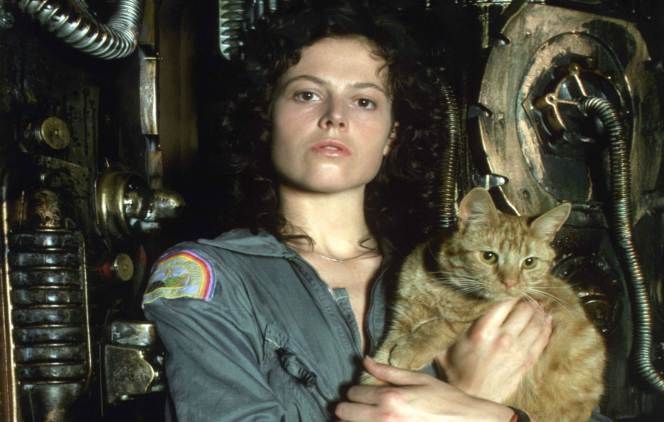 chat roux du film alien avec ripley