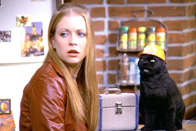 sabrina l'apprentie sorcière et salem le chat noir